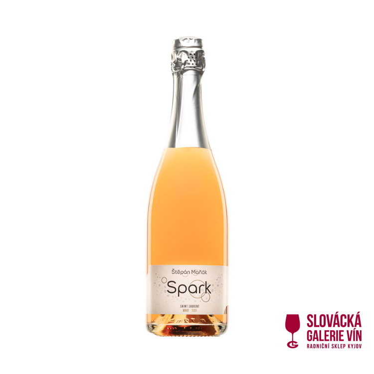 Spark Saint Laurent 2021 brut
